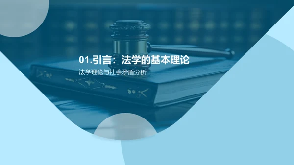 社会矛盾的法学解析