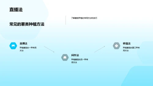 薯类种植解密