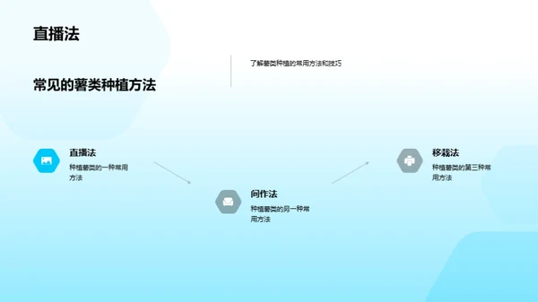 薯类种植解密