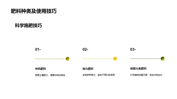 玉米种植：攻克难题