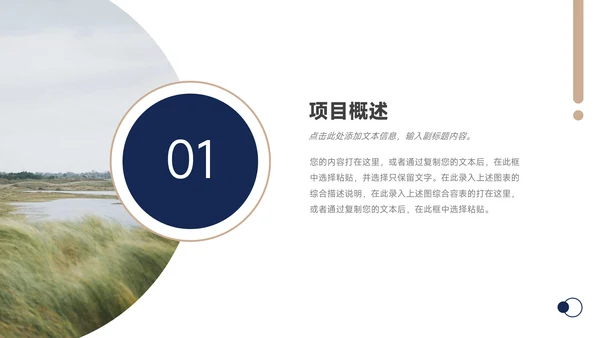 蓝金极简市场营销策划PPT模板