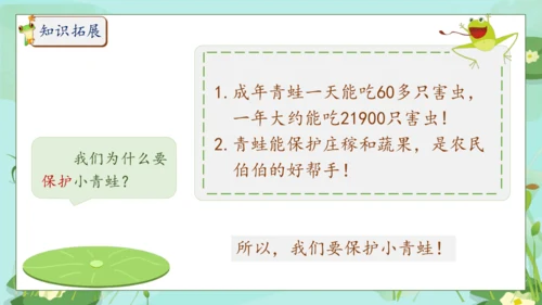 【核心素养】部编版语文一年级下册-识字3. 小青蛙 第2课时（课件）