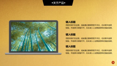 金色背景创业融资商业计划书通用PPT模板