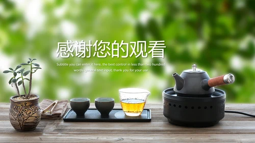 清新茶道展示茶文化茶馆动态PPT模板