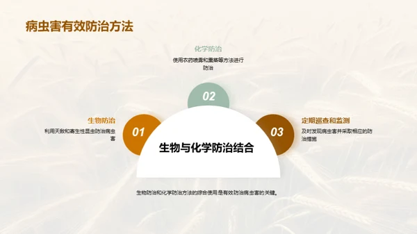 小满季节粮食科学管理