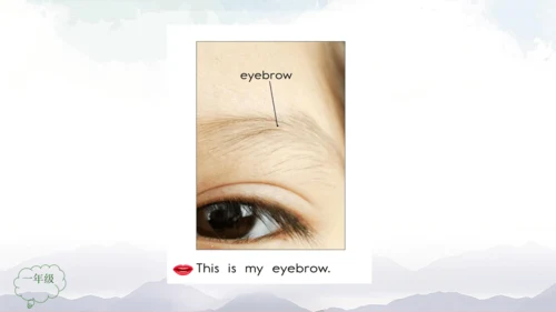 Unit 2 Face Lesson 3 课件共32张PPT)