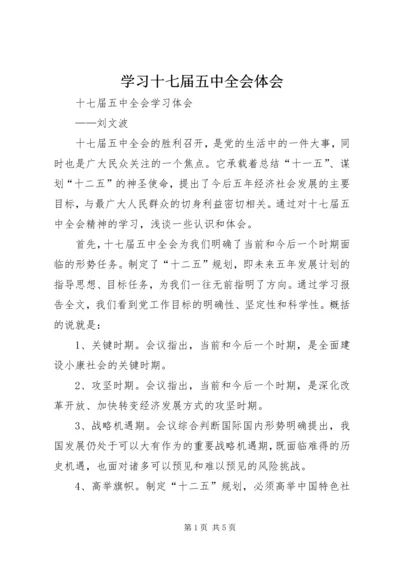 学习十七届五中全会体会.docx