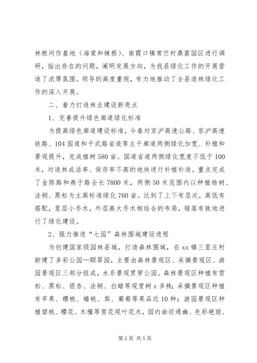 林业中心XX年上半年工作总结及下半年工作计划.docx