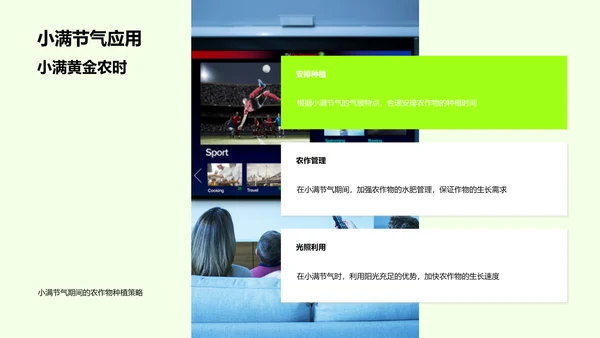 小满节气解析PPT模板