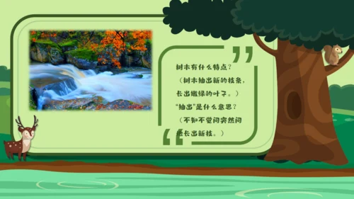 绿色卡通《美丽的小兴安岭》通用PPT课件
