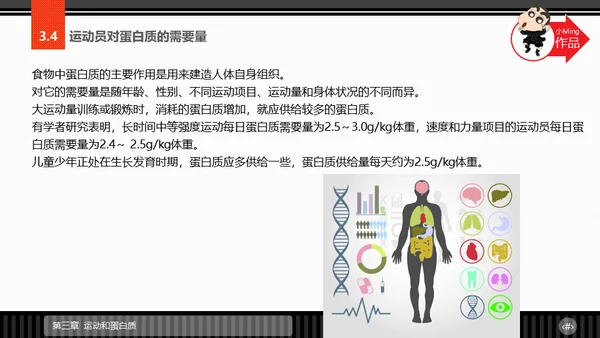 运动营养学通用PPT模板