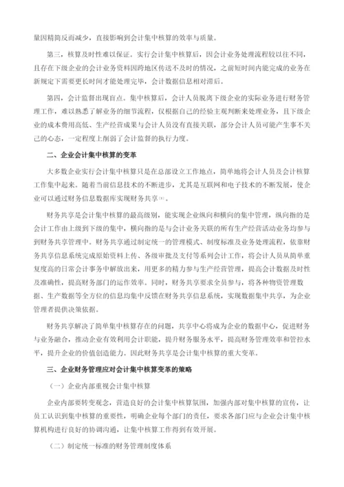 企业会计集中核算和财务管理变革的分析.docx