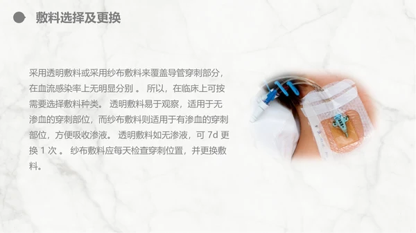 集束化干预在静脉导管相关血流感染的应用PPT模板