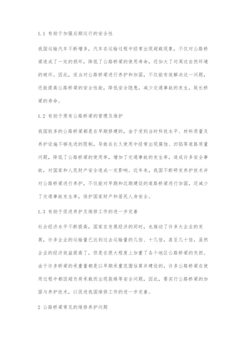 公路桥梁养护与维修加固施工关键技术.docx