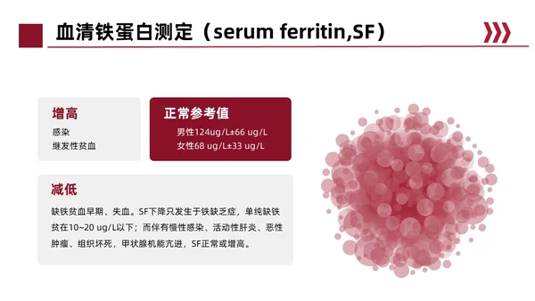 红色简约风缺铁性贫血常规知识培训PPT模板护理