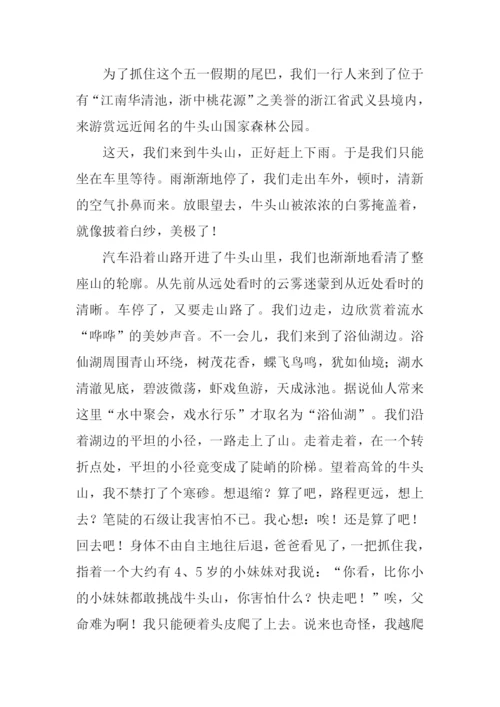 游武义牛头山作文.docx