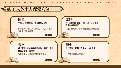 中医药养生健康宣教通用PPT模板