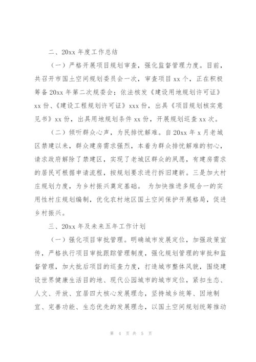 市自然资源局2022年年度工作总结和未来五年工作计划.docx