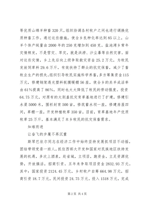 牧区党委书记先进事迹材料 (3).docx