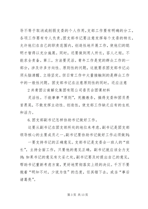 关于共青团中学支部委员会书记职务任命的请示.docx