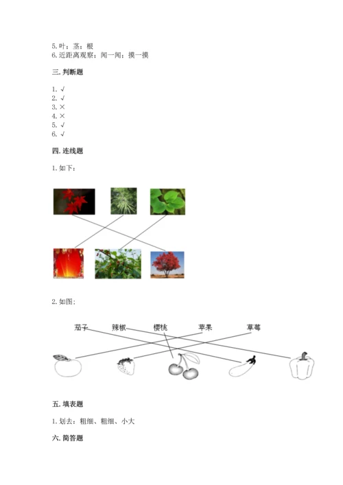 教科版科学一年级上册第一单元《植物》测试卷附完整答案【精选题】.docx