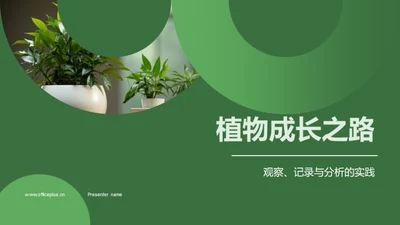 植物成长之路