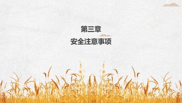 金色麦穗小满通用PPT模板
