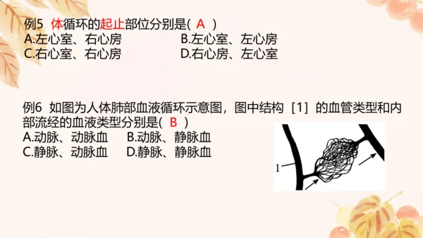 第四单元第四章人体内物质的运输 复习课件(共23张PPT)人教版七年级下册