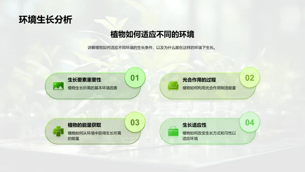 探秘植物生长