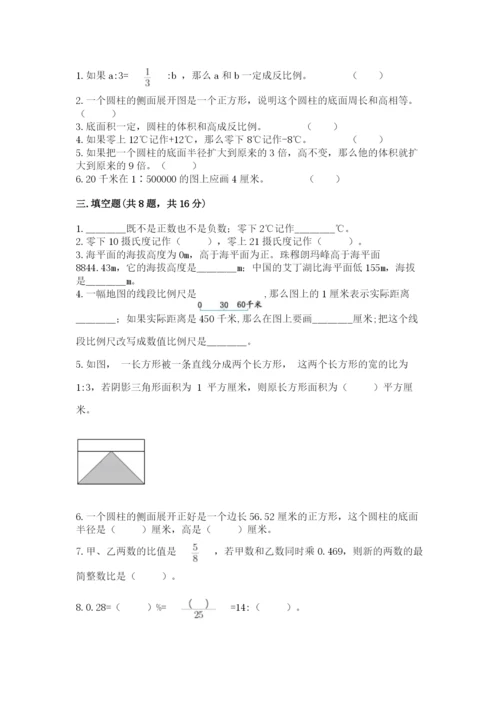 平罗县六年级下册数学期末测试卷完整参考答案.docx