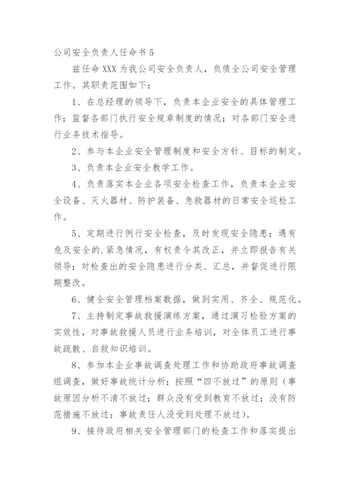 公司安全负责人任命书.docx