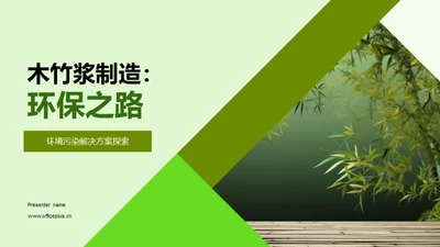 木竹浆制造：环保之路