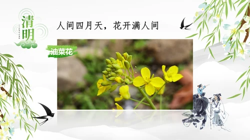 清明节的由来习俗，春意通用PPT模板