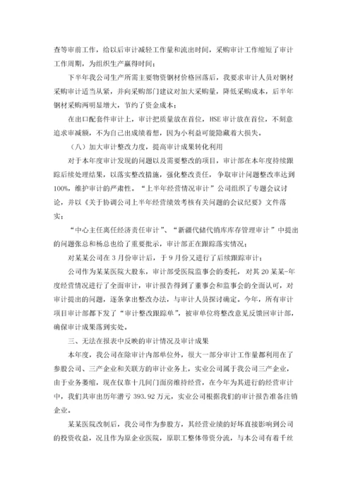 公司审计财务工作总结.docx