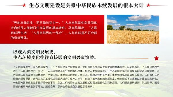 奋力绘就美丽中国新画卷生态文明思想党课课件PPT党建