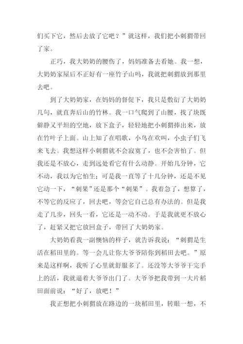小刺猬作文600字.docx