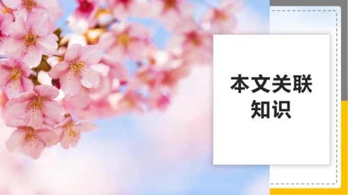 17屈原（节选）课件