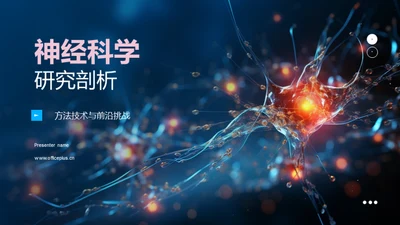 神经科学研究剖析