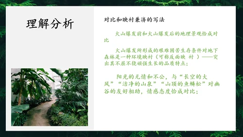 地下森林作家张抗抗作品解读PPT课件