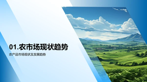 农产品营销策略