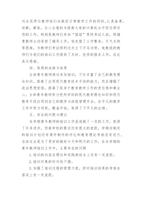 指导培养青年教师情况总结.docx