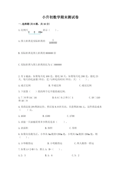 小升初数学期末测试卷精品【实用】.docx