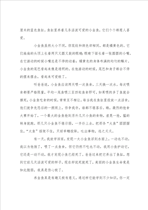 可爱的小金鱼小学四年级作文400字10篇