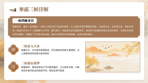棕色系中国风寒露节气知识PPT模板