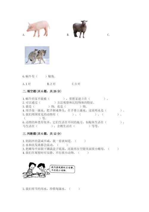 教科版一年级下册科学期末测试卷及参考答案【基础题】.docx