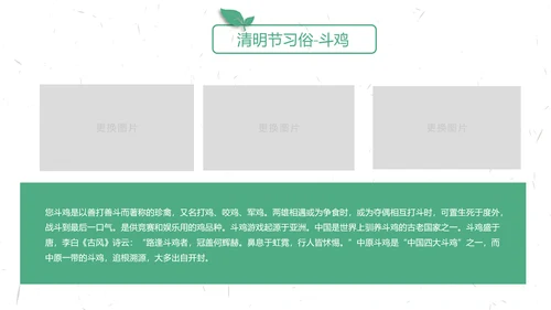 中国传统节气清明节介绍宣传清明踏青PPT模版