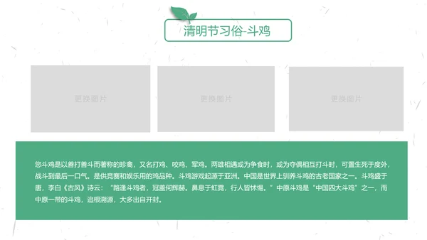 中国传统节气清明节介绍宣传清明踏青PPT模版