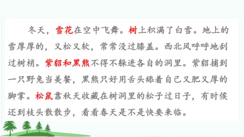 20.美丽的小兴安岭   课件