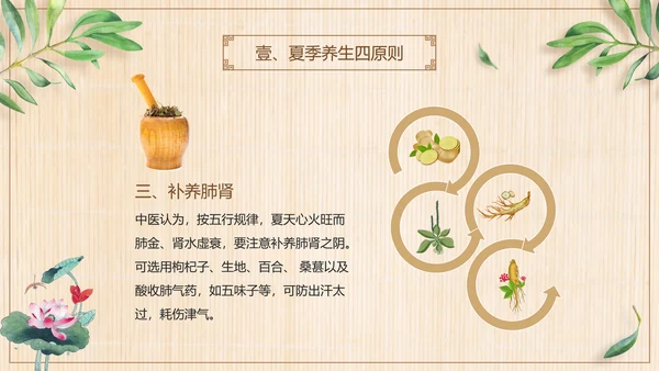 三伏养生中医食疗PPT模板
