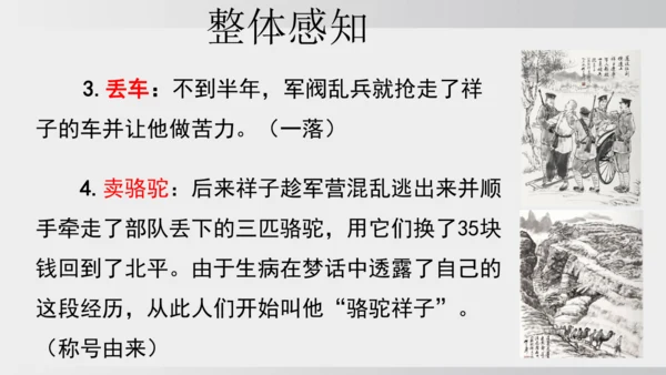 七年级下册语文第三单元整本书阅读 《骆驼祥子》课件